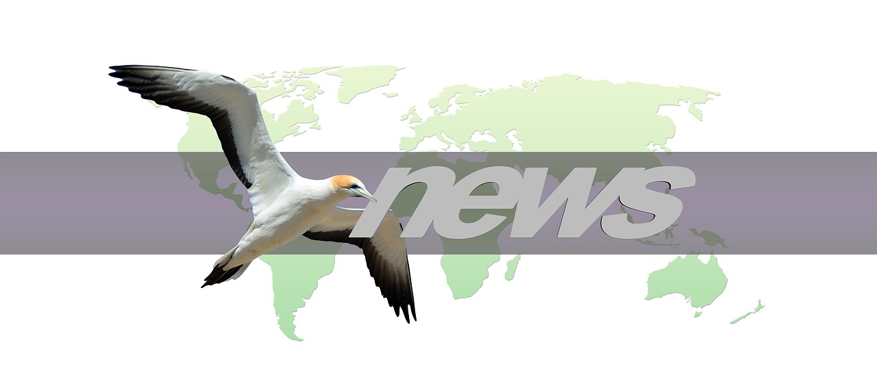 services-01 continents, earth, bird, globe, world, news, press, newspaper, newspapers, northern gannet, wildlife, flying, freedom, journalism, headlines, newsletter, information, read, paper, article, blog, magazine, icon, mail, e-mail, e mail, electronic mail, communication, digital, advertising, broadcast, letter, internet, notification, nature, newspaper, newspaper, northern gannet, headlines, newsletter, newsletter, newsletter, newsletter, newsletter, article, broadcast